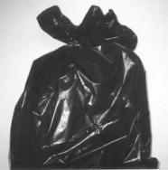 wpe1.jpg (16726 bytes)