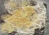 wpe2F.jpg (3007 bytes)